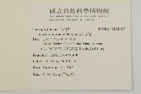 玉山石竹藏品圖，第2張