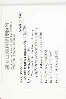 黑果馬交兒藏品圖，第2張