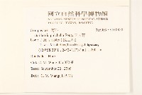 天人菊藏品圖，第2張