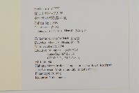 厚葉衛矛, 源一木藏品圖，第2張