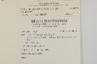 日本假蓬藏品圖，第2張