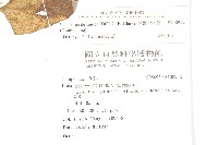 臺灣青木香藏品圖，第2張