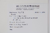 登錄號:S108984藏品圖，第2張