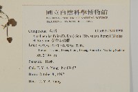 臺灣鬼督郵藏品圖，第2張