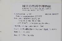 普刺特草藏品圖，第2張