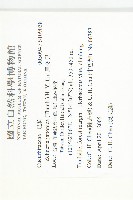 馬交兒藏品圖，第2張