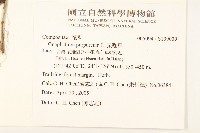 鼠麴舅藏品圖，第2張