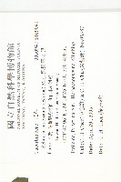 黑果馬交兒藏品圖，第2張