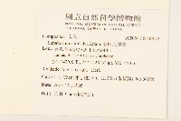 島田氏澤蘭藏品圖，第2張