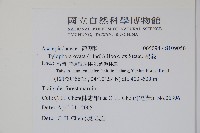 鷗蔓藏品圖，第2張