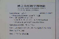 紅子莢迷藏品圖，第2張