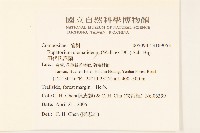 田代氏澤蘭藏品圖，第2張