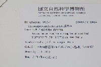 盾果草藏品圖，第2張