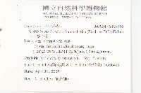 玉山筷子芥藏品圖，第2張