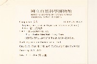 福山氏飛蓬藏品圖，第2張