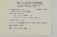 繁縷藏品圖，第2張