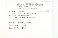 臺灣馬桑藏品圖，第2張