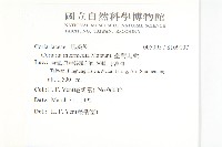 臺灣馬桑藏品圖，第2張