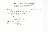 臺灣馬桑藏品圖，第2張