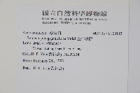 臺東漆樹藏品圖，第2張