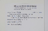 黃連木、爛心木藏品圖，第2張