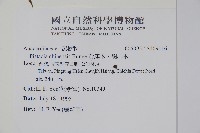 黃連木、爛心木藏品圖，第2張