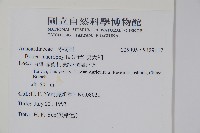 美女芒、羹大利藏品圖，第2張