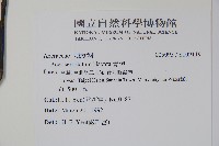 青楓藏品圖，第2張