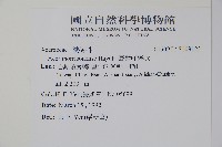 臺灣紅榨槭藏品圖，第2張