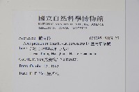 臺灣掌葉槭藏品圖，第2張