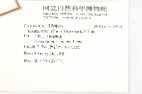 紅葉藤藏品圖，第2張