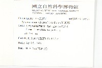 紅葉藤藏品圖，第2張