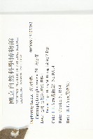 虎皮楠藏品圖，第2張