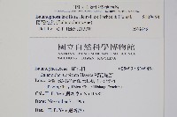 穗花蛇菰藏品圖，第2張