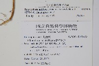 穗花蛇菰藏品圖，第2張