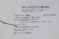 木蠟樹、山漆藏品圖，第2張