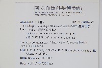 臺灣樹參藏品圖，第2張