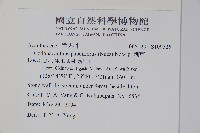 針刺草藏品圖，第2張