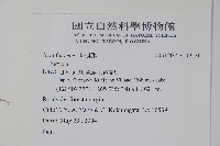 登錄號:S109530藏品圖，第2張