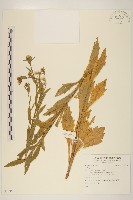 登錄號:S109531藏品圖，第1張