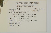 阿里山鬼督郵藏品圖，第2張