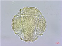 登錄號:S109584藏品圖，第1張