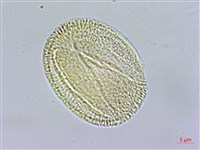 登錄號:S109584藏品圖，第3張