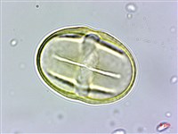 登錄號:S109588藏品圖，第3張