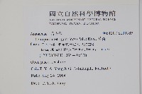 番杏藏品圖，第2張