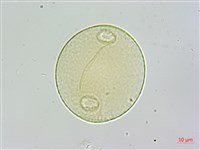 登錄號:S109598藏品圖，第2張