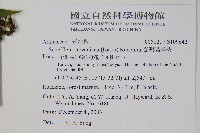 臺灣鵝掌柴藏品圖，第2張