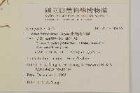 臺灣山白蘭藏品圖，第2張