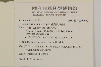 臺灣山白蘭藏品圖，第2張