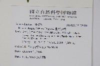 臺灣藤漆藏品圖，第2張